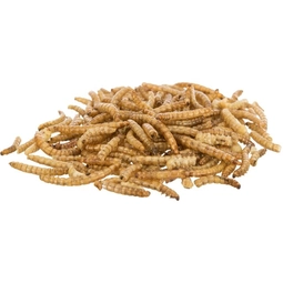 Корм Trixie Mealworms сушені черв'яки 200 г