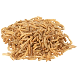 Trixie Mealworms Dried 70 g