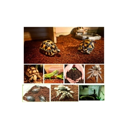 Субстрат тропический Komodo Tropical Terrain 6 л