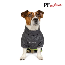 Комбінезон для собак Pet Fashion RAIN L